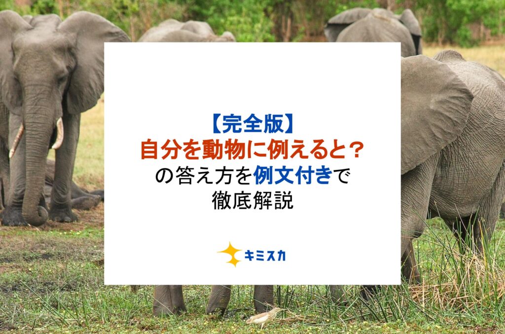e58b95e789a9e5908ce5a3abe381aee382b3e3839fe383a5e3838be382b1e383bce382b7e383a7e383b3e381aee58f96e3828ae696b9 e4be8be38292e5beb9e5ba95