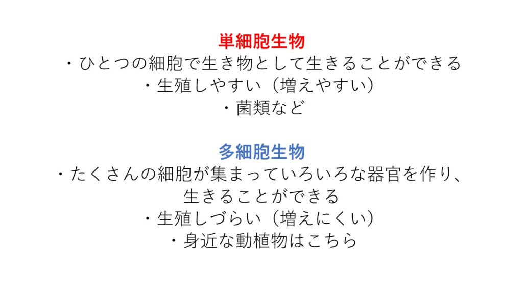 e5a49ae7b4b0e8839ee7949fe789a9e381aee585b7e4bd93e4be8be381a8e3819de381aee789b9e5beb4e38292e5beb9e5ba95e8a7a3e8aaac