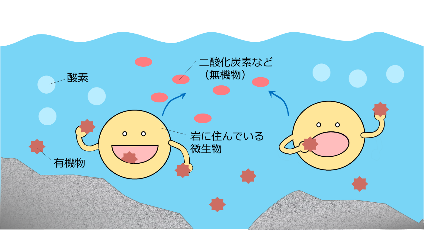 e5beaee7949fe789a9e381abe38288e3828be792b0e5a283e6b584e58c96e381aee585b7e4bd93e4be8be381a8e3819de381aee58ab9e69e9c
