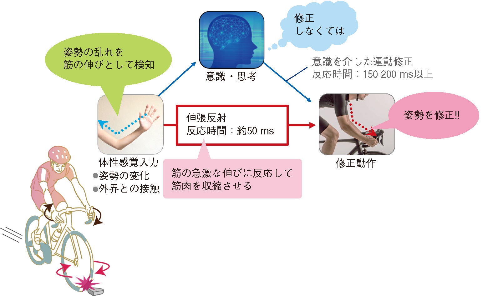 e697a5e5b8b8e7949fe6b4bbe381abe8a68be3828be58f8de5b084e381aee585b7e4bd93e79a84e381aae4be8be381a8e381afefbc9f