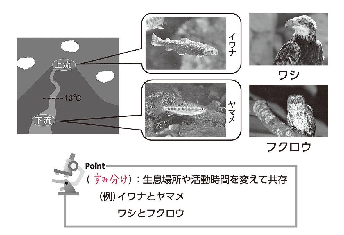 e6a3b2e381bfe58886e38191e381aee6848fe591b3e381a8e585b7e4bd93e4be8befbc9ae7949fe6858be7b3bbe381a8e7a4bee4bc9ae381aee585b1e5ad98