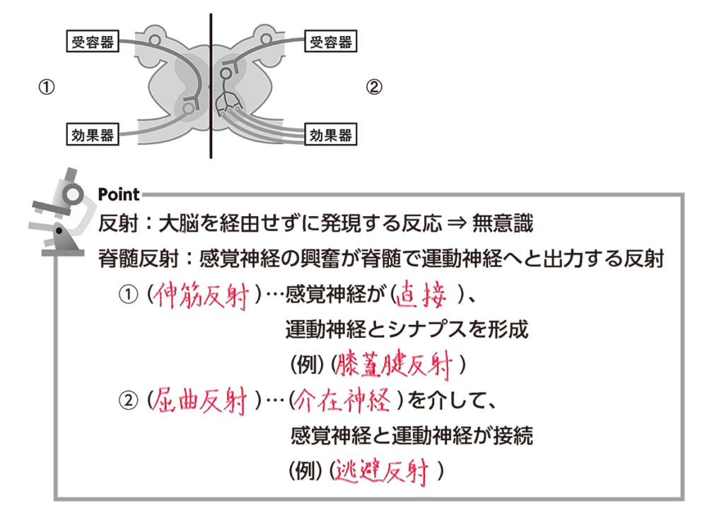 e784a1e6848fe8ad98e381abe8b5b7e38193e3828be58f8de5b084e381aee585b7e4bd93e4be8be381a8e3819de381aee9878de8a681e680a7