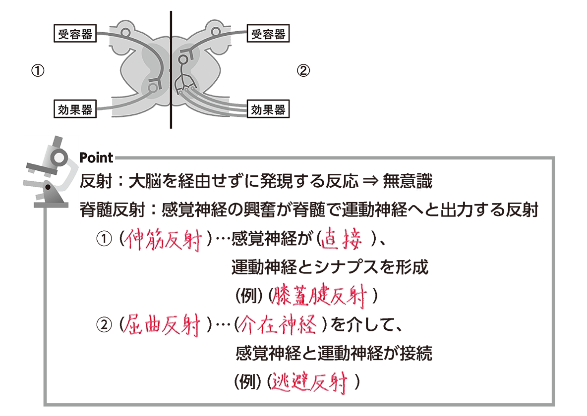 e784a1e6848fe8ad98e381abe8b5b7e38193e3828be58f8de5b084e381aee585b7e4bd93e4be8be381a8e3819de381aee9878de8a681e680a7