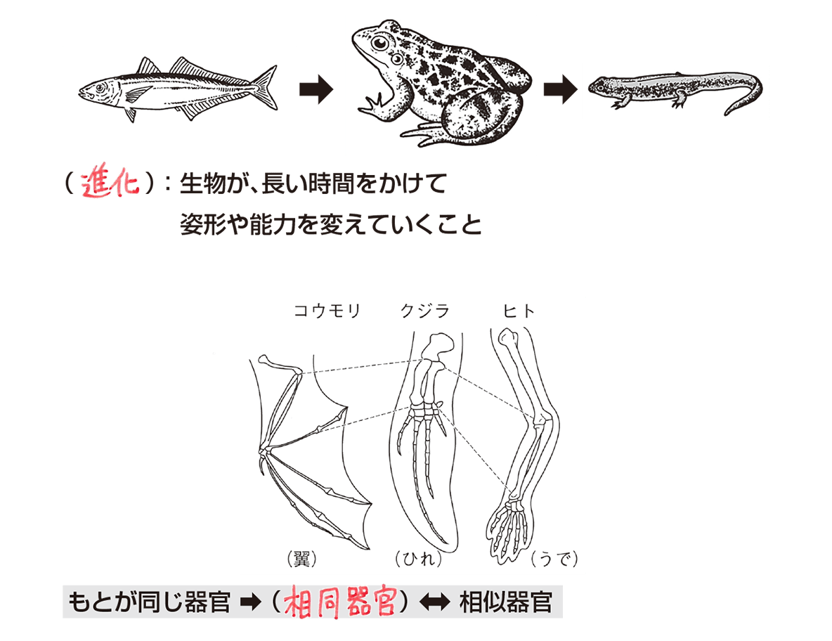e79bb8e5908ce599a8e5ae98e381aee585b7e4bd93e4be8be381a8e980b2e58c96e381aee996a2e4bf82e38292e68ea2e3828b