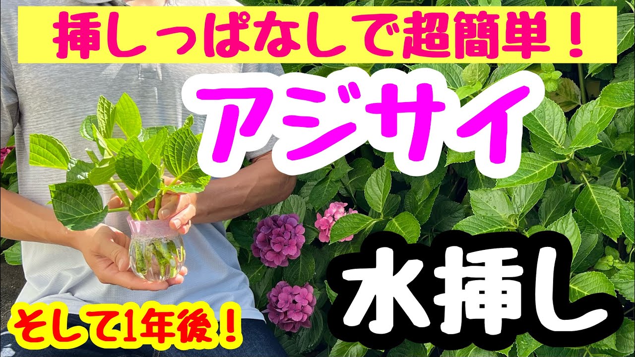e7b4abe999bde88ab1e381aee68cbfe38197e69ca8e5a4b1e69597e4be8be381a8e58e9fe59ba0e38292e5beb9e5ba95e8a7a3e8aaac