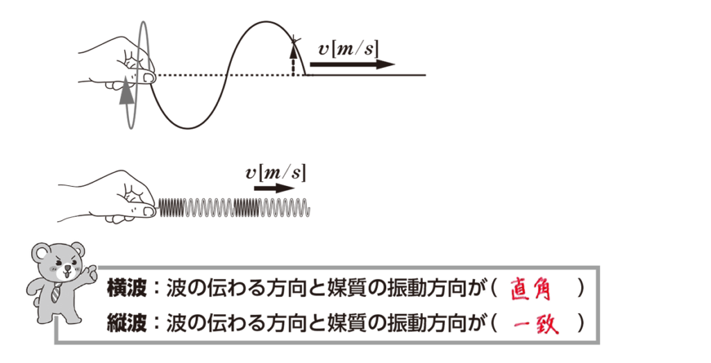 e7b8a6e6b3a2e381aee585b7e4bd93e4be8be381a8e3819de381aee789b9e680a7e38292e5beb9e5ba95e8a7a3e8aaac