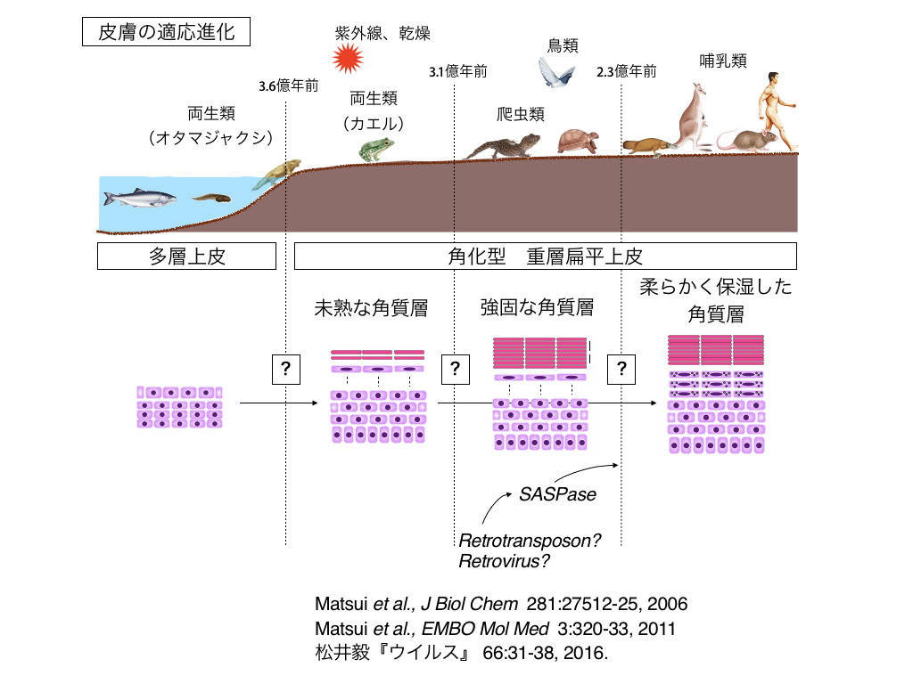 e980b2e58c96e38197e3819fe58b95e789a9e381aee585b7e4bd93e4be8be381a8e3819de381aee981a9e5bf9ce381aee383a1e382abe3838be382bae383a0
