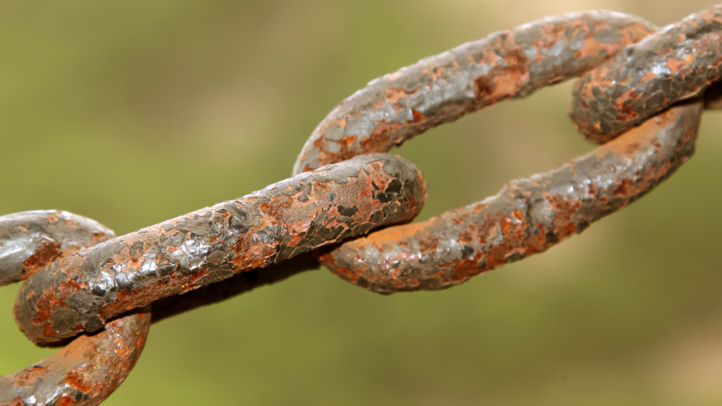 e985b8e58c96e381a8e381afefbc9fe8baabe8bf91e381aae4be8be381a8e3819de381aee5bdb1e99fbfe38292e8a9b3e38197e3818fe8a7a3e8aaac